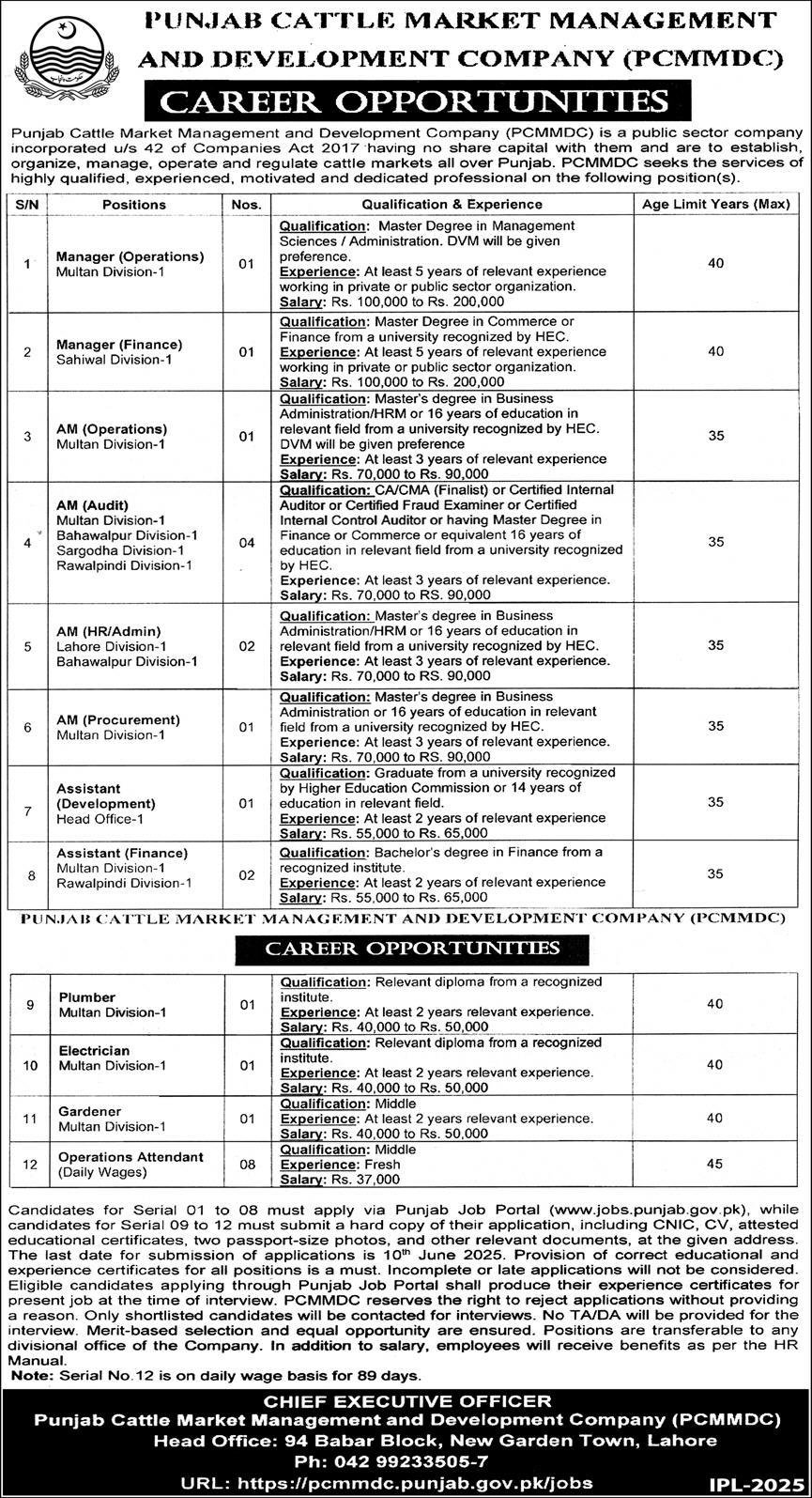 Punjab Cattle Market Management and Development Company Jobs 2025 2 Punjab Cattle Market Management and Development Company Jobs 2025