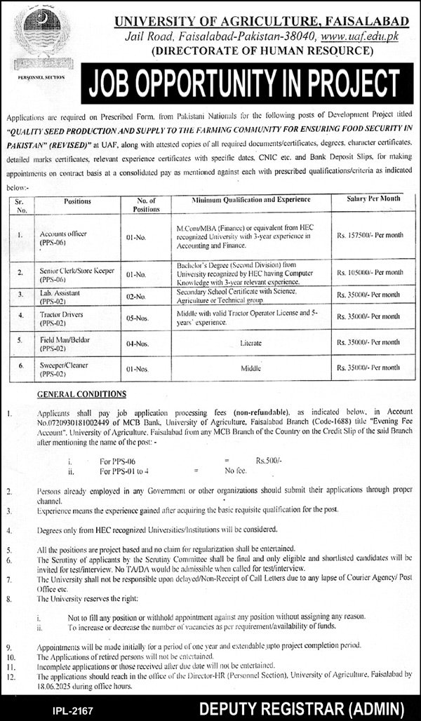 University of Agriculture Faisalabad (UAF) Jobs 2025 - Multiple Jobs 2 University of Agriculture Faisalabad (UAF) Jobs