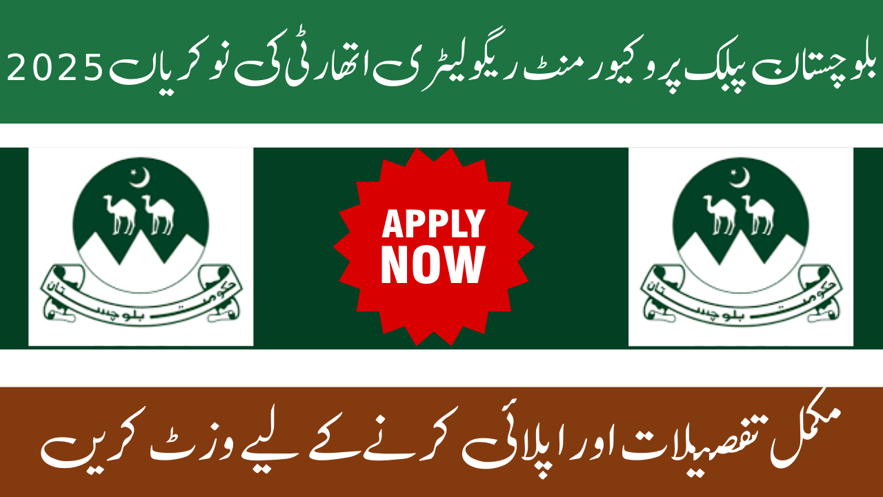 Balochistan Public Procurement Regulatory Authority Jobs 2025