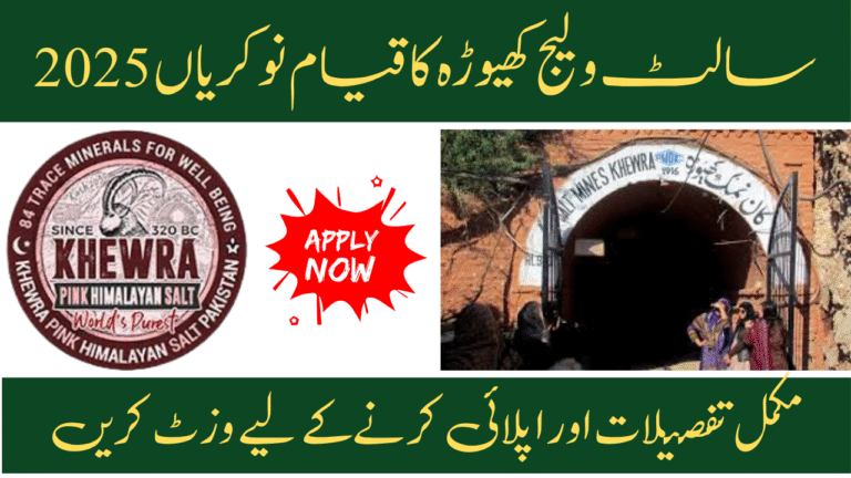Establishment of Salt Village Khewra Jobs 2025