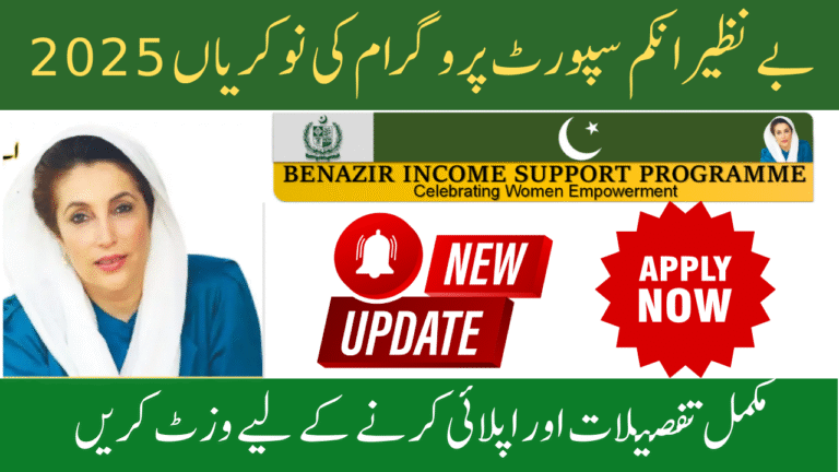 Benazir Income Support Programme Jobs 2025
