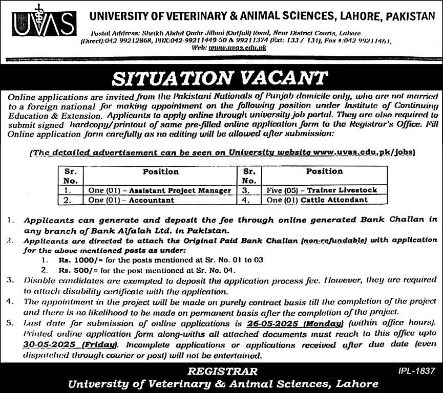 UVAS Project-based Jobs 2025 - Trainer (Livestock) 2 UVAS Project-based Jobs