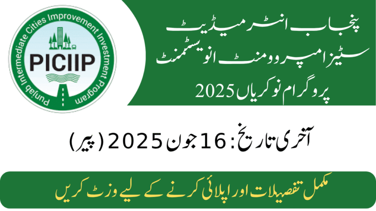 Punjab Intermediate Cities Improvement Investment Program Jobs 2025